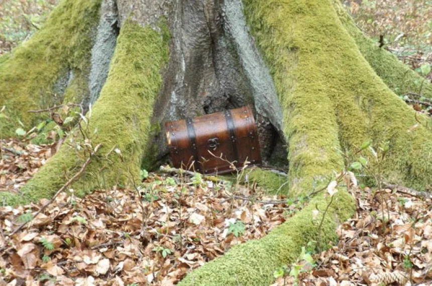 Versteckte Schatzkiste im Wald bei einer Outdoor-Escape-Challenge für Unternehmen